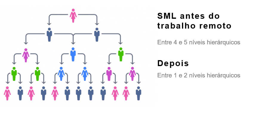 Níveis hierárquicos da empresa Zeev