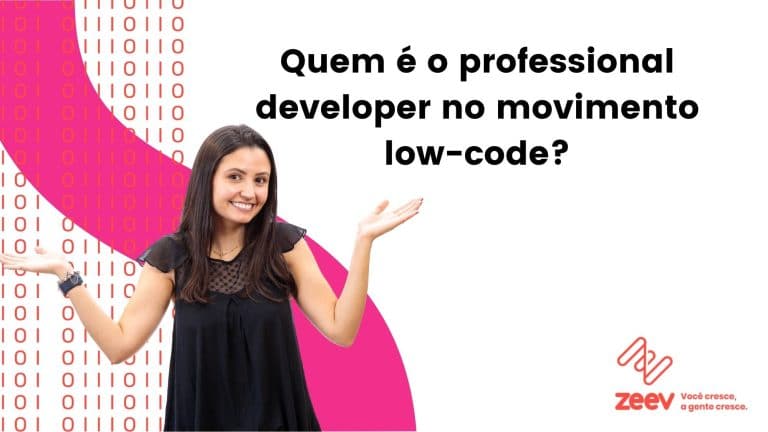 o que é professional developer