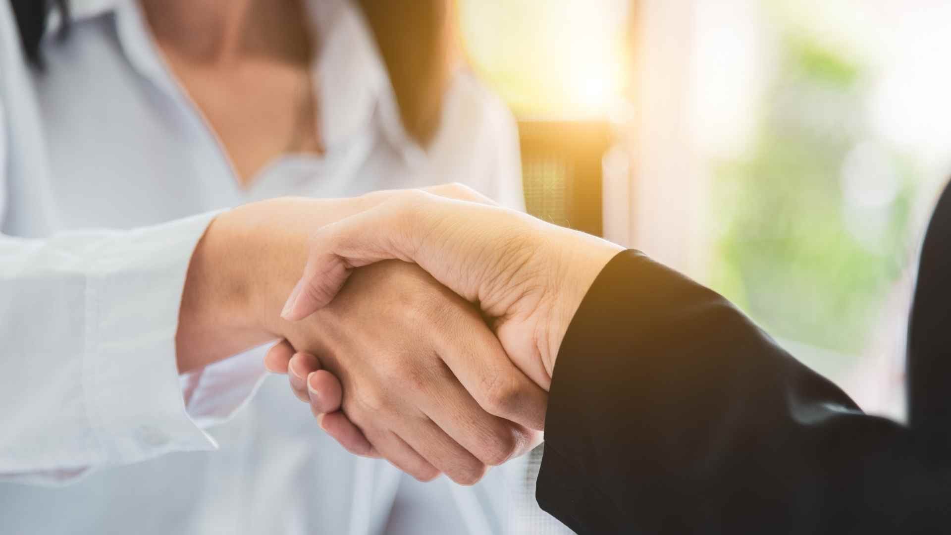 parceiros zeev etapa Oficialização