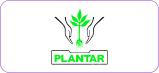 Plantar é alguns dos clientes zeev