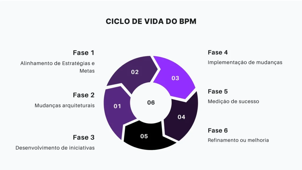 Ciclo de vida do BPM para o gestor de processos utilizar